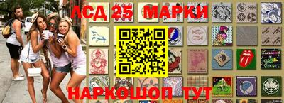 сатива Гай