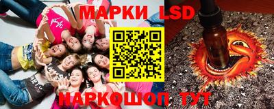 бошки Гатчина