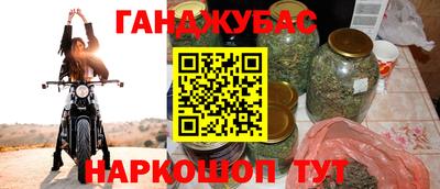 бошки Гатчина